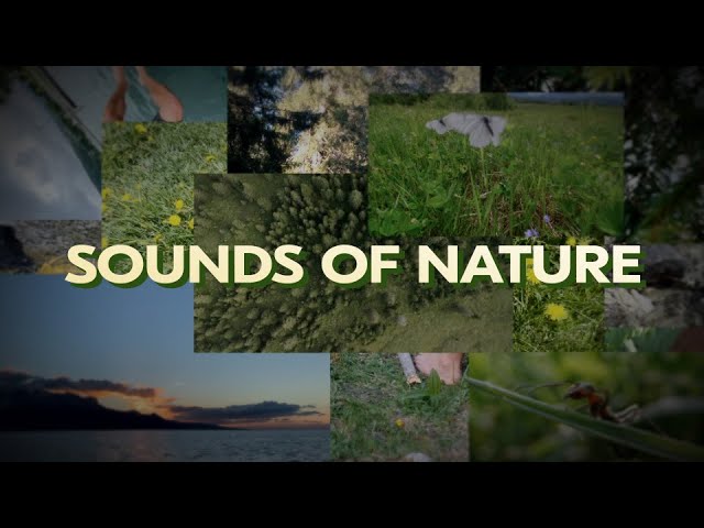 Sounds of Nature (Switzerland)